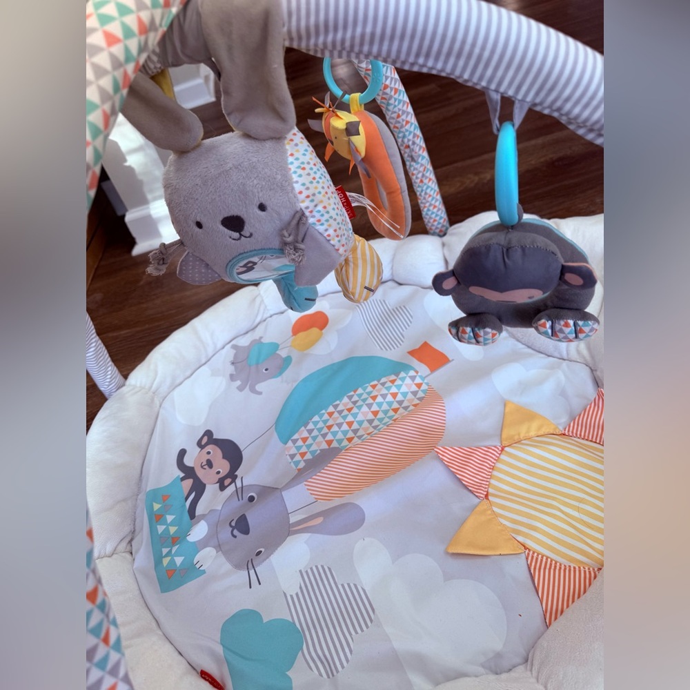 Skip Hop Baby Activity Gym